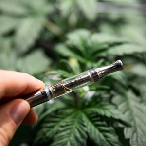 person holding weed vaporizer